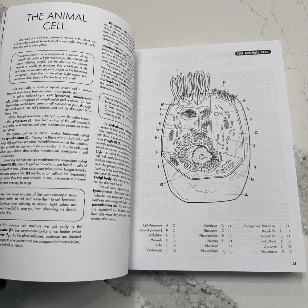 Biology Coloring Workbook, 2nd Edition. Brand New